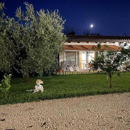 Villetta Bianca Pisticci-Matera Exterior foto